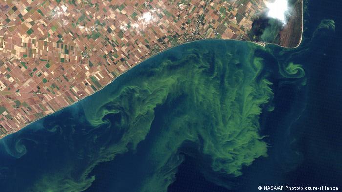 This Oct. 5, 2011 file satellite photo provided by NASA shows algae blooms on Lake Erie