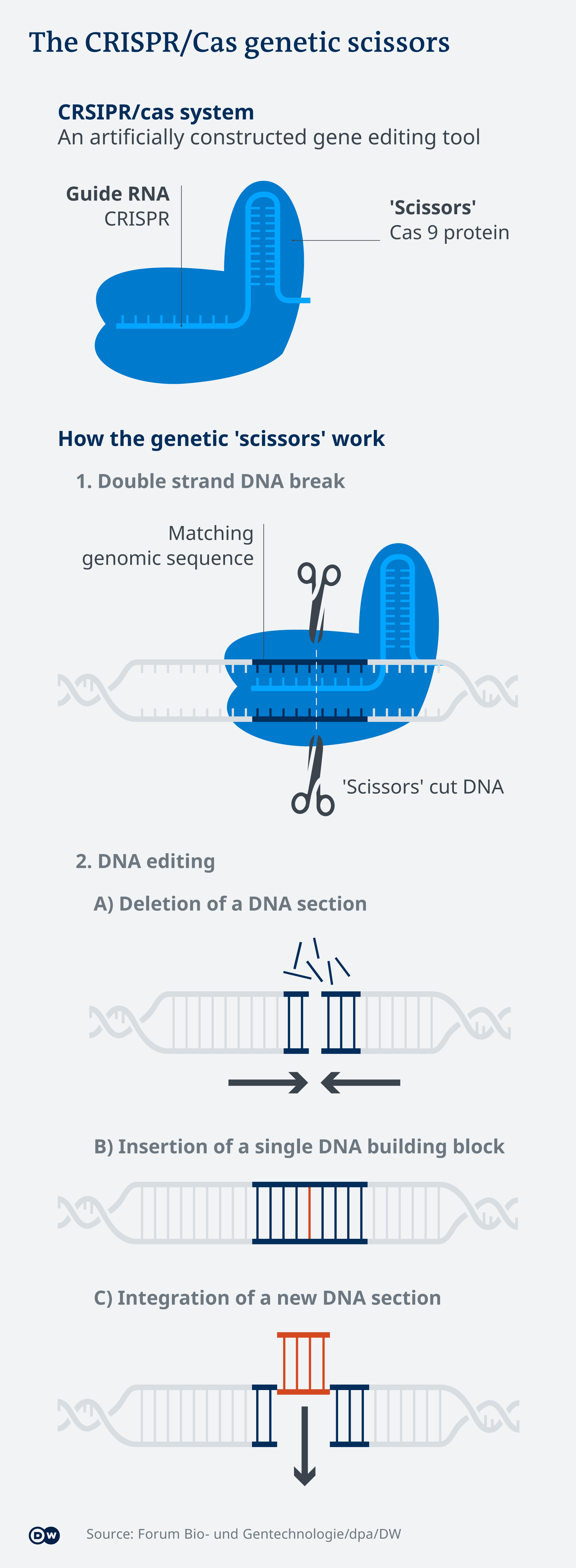 Infografik Die Gen-Schere CRISPR/Cas9 EN