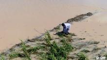 Floods in Nigeria's Kebbi state destroy crops
© DW
TAGS: Nigeria, Rice, Crops, Flooding, Kebbi
