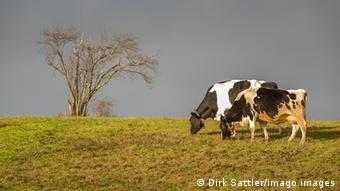 Για νέες προκλήσεις μιλούν οι γερμανοί αγρότες Για νέες προκλήσεις μιλούν οι γερμανοί αγρότες