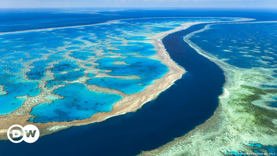 Great Barrier Reef kein gefährdetes Welterbe