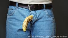 old limp drooping banana hanging from genital area of clothed unrecognizable man, impotence erectile dysfunction or limp-dick concept | Verwendung weltweit