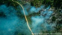 *** Bitte nur in Zusammenhang mit der Berichterstattung verwenden *** 19.09.2019 Luftaufnahme im Amazonas - Bundesland Pará, Brasilien. Rauch über einem abgeholzten Gebiet in Amazonas (Bundesland Pará, Brasilien). Overflown by the state of Pará in 2019, it records illegal mining, illegal logging, disastrous burning, gigantic cattle fields and so on. With these images we can prove that the advance of the destruction of the Amazon only increases.
Sobrevoo pelo estado do Pará em 2019, registra garimpos ilegais, extrativisto de madeira ilegal, queimadas desastrozas, campos gigantescos para gado e etc. Com essas imagens podemos provar que o avanço da destruição da Amazônia apenas aumenta.
via Luisa Frey