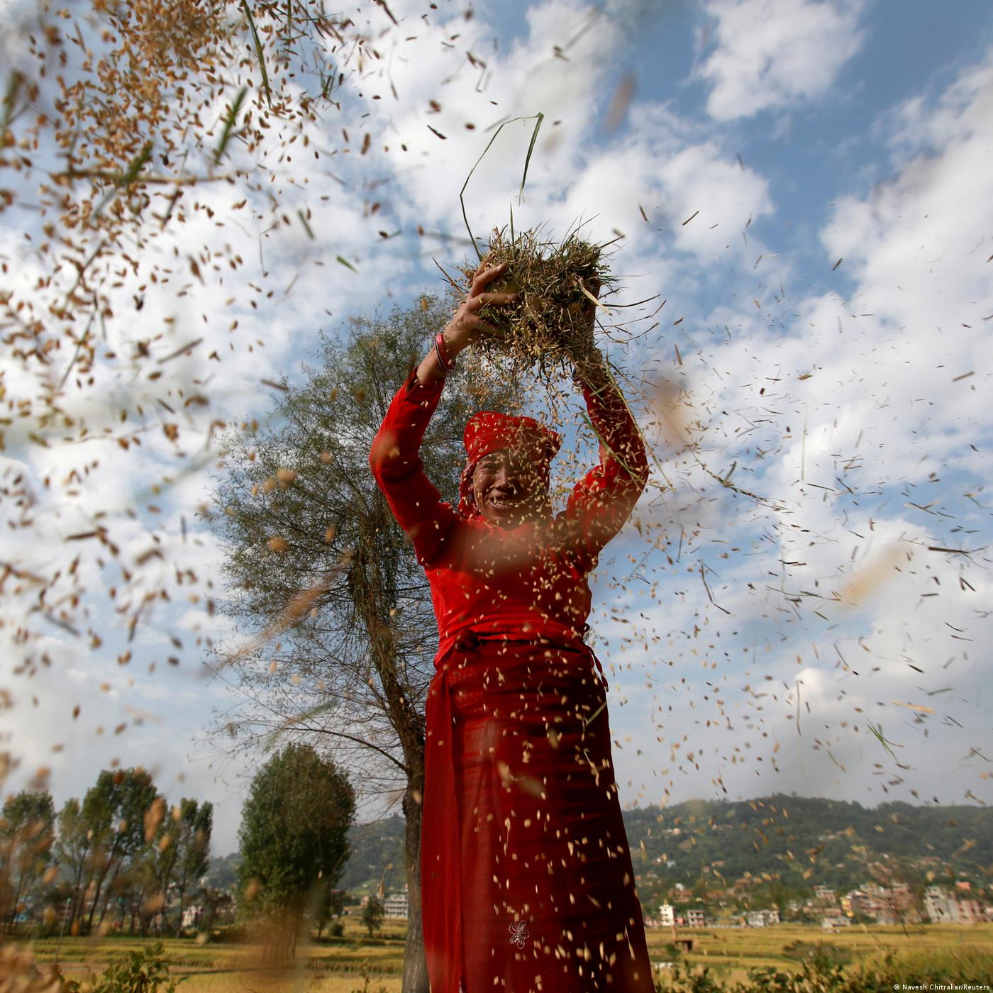 Living Planet : Freedom, farming and food security