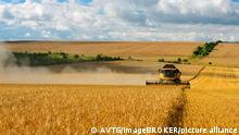 Njemačka želi omogućiti veći uzgoj žitarica