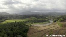 Restaurando la selva tropical para salvar el canal de Panamá