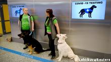 Sniffer dogs Valo (L) and E.T., who are trained to detect the coronavirus disease (COVID-19) from the arriving passengers' samples, sit next to their trainers at Helsinki Airport in Vantaa, Finland September 22, 2020. Lehtikuva/via REUTERS ATTENTION EDITORS - THIS IMAGE WAS PROVIDED BY A THIRD PARTY. NO THIRD PARTY SALES. NOT FOR USE BY REUTERS THIRD PARTY DISTRIBUTORS. FINLAND OUT. NO COMMERCIAL OR EDITORIAL SALES IN FINLAND.