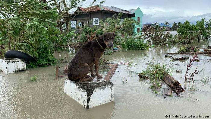 Vietnam Readies Mass Evacuation As Typhoon Molave Looms News Dw 26 10