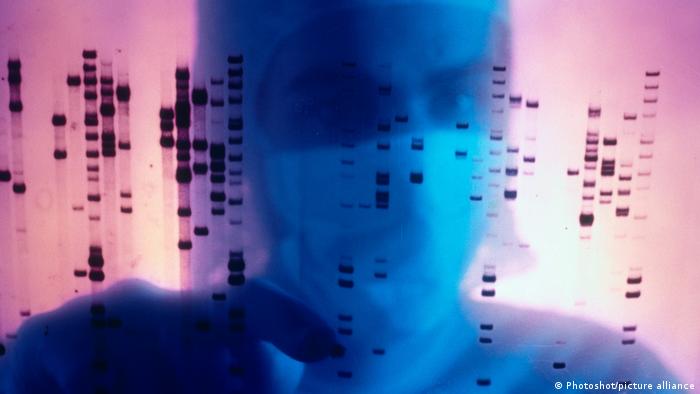 Las partes del genoma que no habíamos podido estudiar durante más de 20 años son importantes para comprender el funcionamiento del genoma, las enfermedades genéticas y la diversidad y evolución humanas, afirma Miga. 