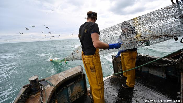 Two fishers clear the fish from the net aboard a trawler