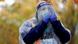 Ballot box attendant Diane Pavelin is seen wearing a face mask and face shield in Seattle Ballot box attendant Diane Pavelin is seen wearing a face mask and face shield in Seattle