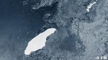 Iceberg gigante amenaza colonias de pingüinos en el Atlántico Sur 