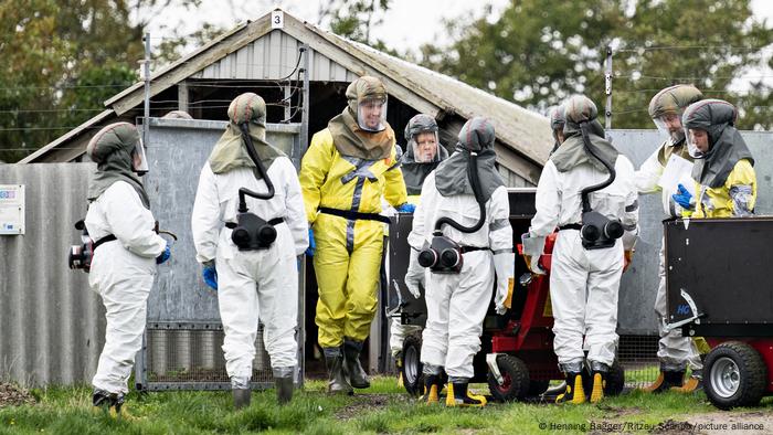 Danish emergency management workers in protective equipment at mink farm 