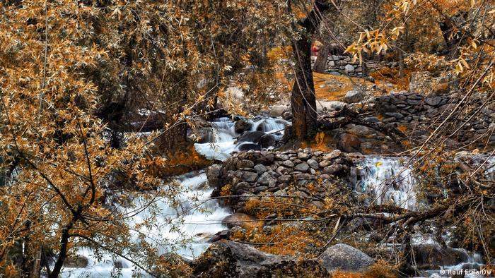 Indien Kaschmir Herbst Landschaft (Rouf Fida/DW)