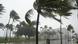 Strong winds reach the palm trees of Miami Beach, Florida Strong winds reach the palm trees of Miami Beach, Florida