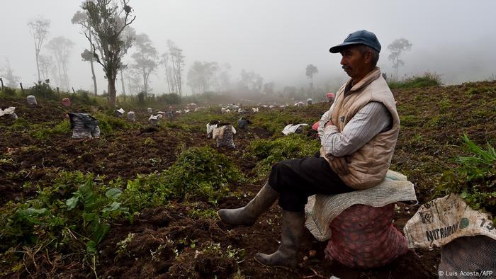La violencia en Colombia sigue expulsando a su gente, sobre todo en regiones disputadas por cultivos ilegales. La violencia en Colombia sigue expulsando a su gente, sobre todo en regiones disputadas por cultivos ilegales.