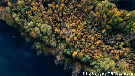 Luftaufnahme von herbstlich gefärbten Bäumen am Hengsteysee bei Hagen, Westdeutschland