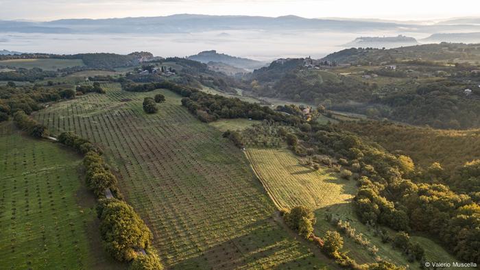 La Meseta de la Alfina, Provincia de Viterbo en Italia. La Meseta de la Alfina, Provincia de Viterbo en Italia.