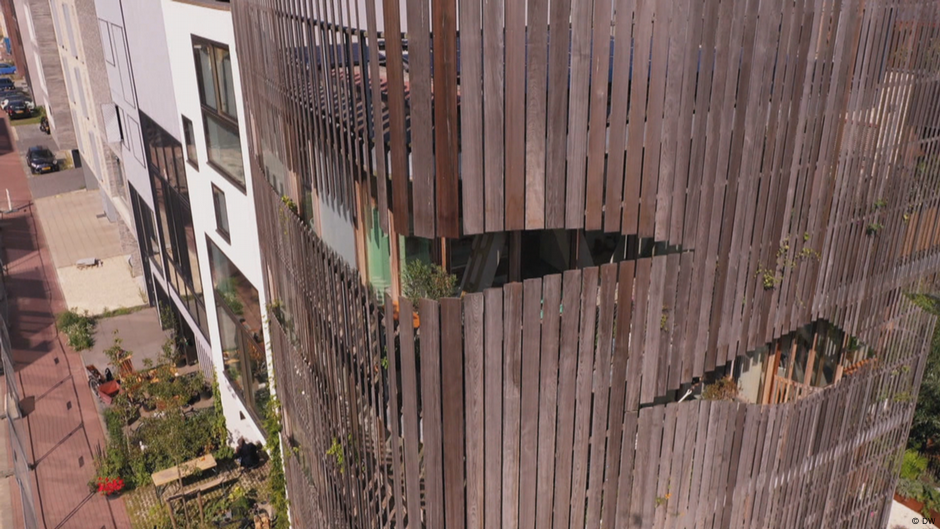 Building in harmony with nature – DW – 10/07/2022