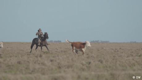 DW Economía creativa | Landfrauen in Uruguay | Cristina beim Viehhüten