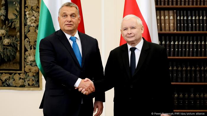Viktor Orban and Jaroslaw Kaczynski (right)