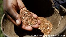 Seed monopolies: Who controls the world's food supply? 