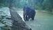 Indien | Nandhaur Wildlife Sanctuary in Uttarakhand Indien | Nandhaur Wildlife Sanctuary in Uttarakhand