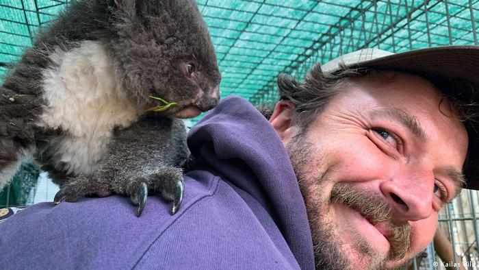 Kailas Wild with the first orphaned koala joey he rescued on his back 