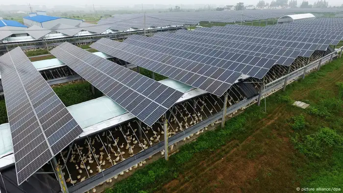 Photovoltaik in der Landwirtschaft: Oben Photovoltaikmodule und unten eine Geflügelfarm