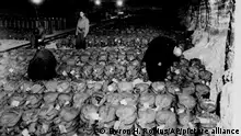 Photo showing part of an estimated 100 tons of gold bullion hidden in a salt mine near Merkers, southwest of Gotha, Germay, found April 7, 1945 by 3rd U.S. Army troops of General George S. Patton. Aided by a Reichsbank official, in civilian clothes, 3rd Army finance officers check over money bags. Stored with the gold were crates of art treasures and vast amounts of currency. (AP Photo/Byron H. Rollins) |