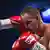 Deutschland Boxen Thomas Ulrich