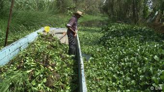 Mexiko | DW Economía Creativa | Anbaumethode der Chinampas
