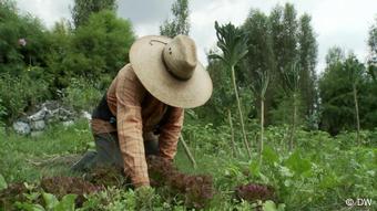 Mexiko | DW Economía Creativa | Anbaumethode der Chinampas
