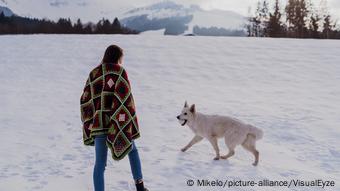 Los humanos domesticaron a los lobos en la Edad del Hielo