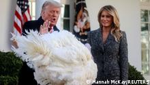 USA Washington | Donald Trump begnaded zwei Truthähne zu Thanksgiving