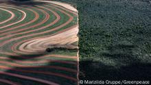 Brasilien Plantage am Amazonas Regenwald
Avanço do agronegócio na região da MATOPIBA, Brasil.