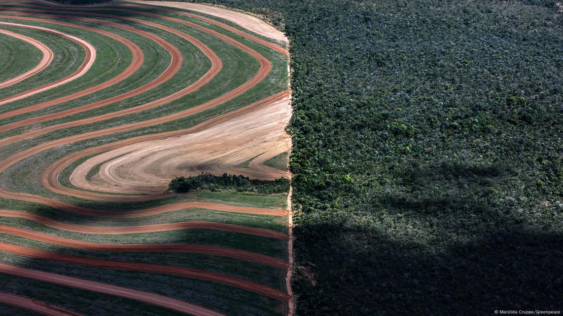 Foto aérea mostra contraste entre área preservada e área desmatada para o agronegócio em região conhecida como MATOPIBA, entre os estados do Maranhão, Tocantins, Piauí e Bahia.