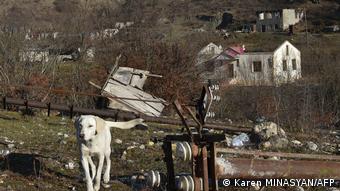 собака на фоне одного из сел, оставленных армянами в Карабахе
