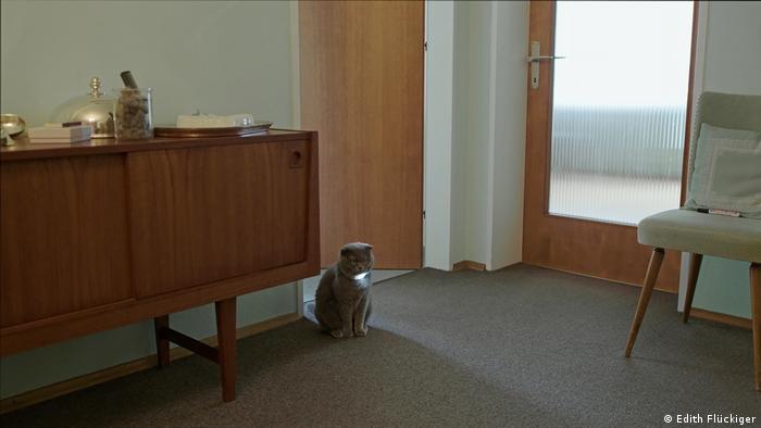 Eine Katze sitzt an einer Türschwelle