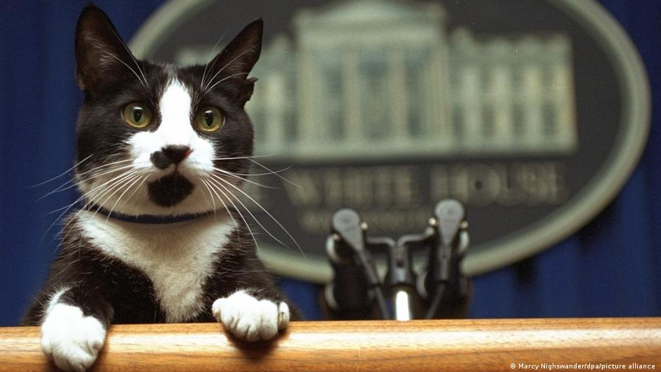 First Pets: Famous presidential companions | All media content | DW - Vimarsana News