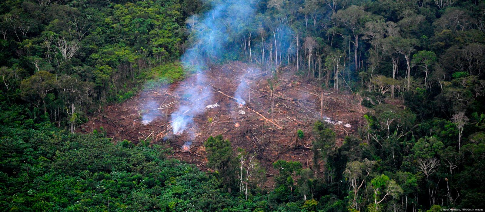 Amazônia: Desmatamento tem segunda maior cifra da série, diz Inpe