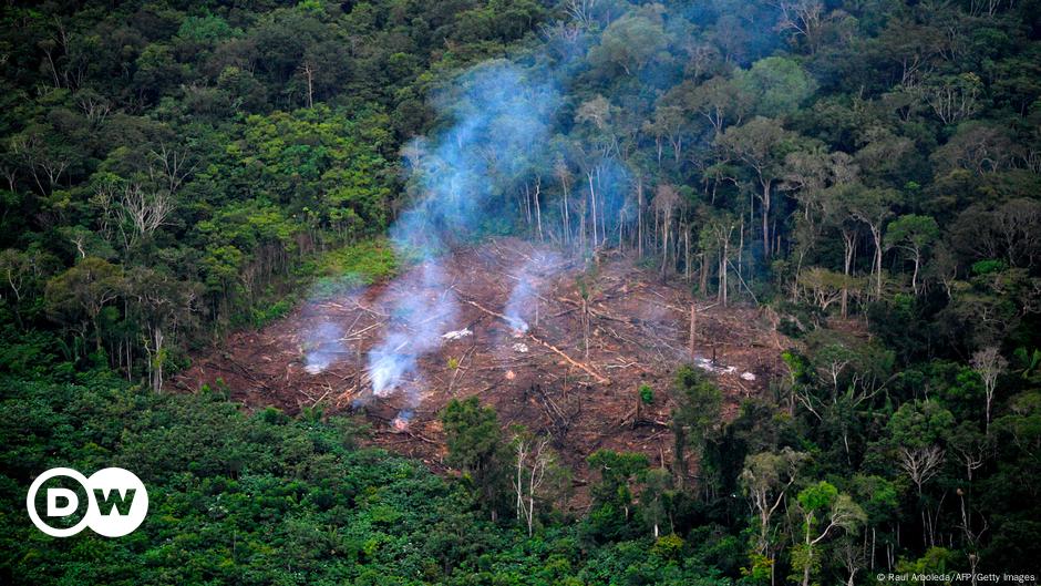 Brasil encerra 2020 com maior número de focos de queimadas em uma década