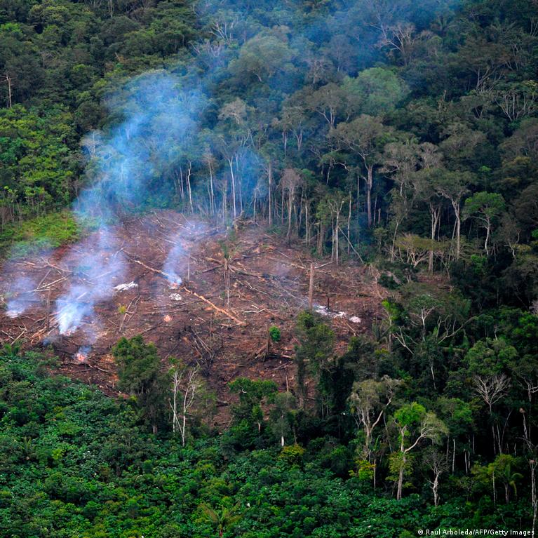 Brasil registra mais de 200 mil focos de queimadas em 2020 &ndash; DW &ndash; 03/01/2021