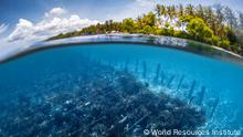 Great Barrier Reef News And Current Affairs From Germany And Around The World Dw 23 07 2021