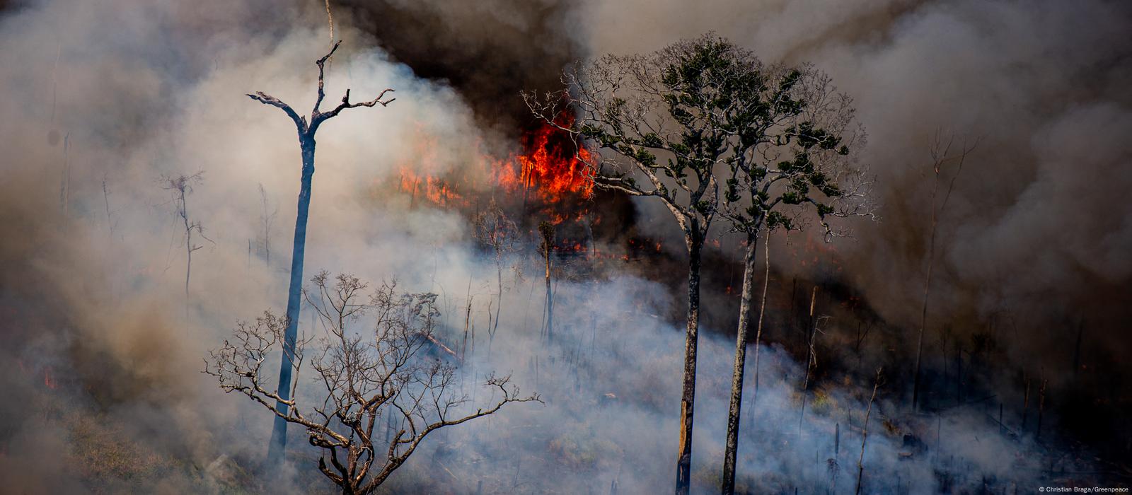 Fumo E Fogos-de-artifício Da Mostra Do Fogo Do Mundo Da água Dos Estúdios  Universais Imagem Editorial - Imagem de paisagem, extremo: 105020345