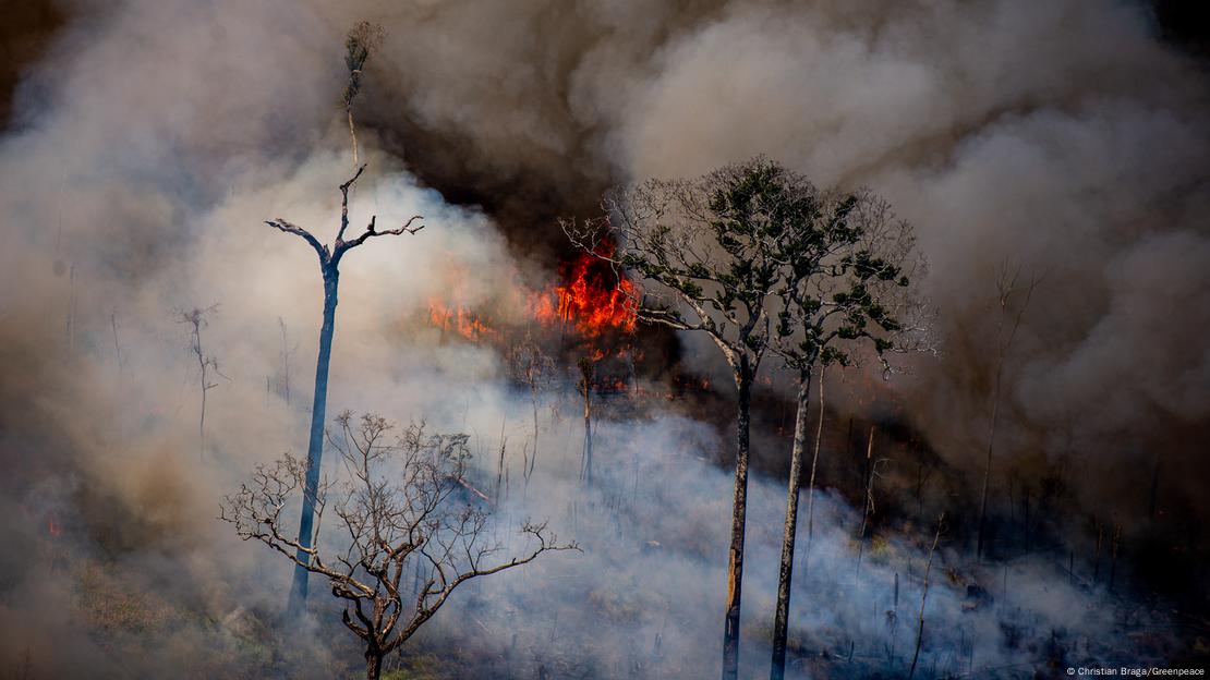 Incêndio florestal na Amazônia
