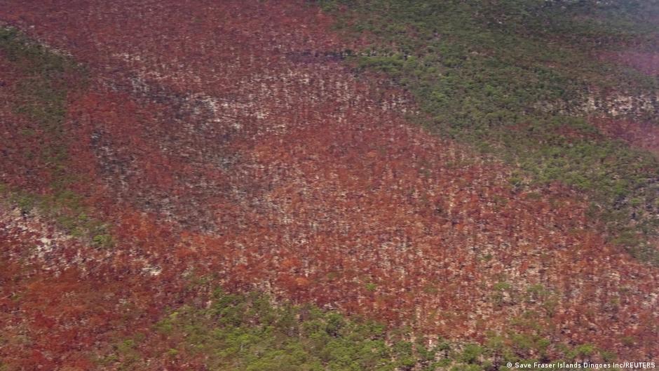 Wildfires: Fraser Island is just one UNESCO heritage site threatened by climate change - Deutsche Welle