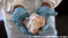 A Mexican Army expert shows crystal meth paste at a clandestine laboratory near la Rumorosa town in Tecate, Baja California state, Mexico on August 28, 2018. - According to the Army, the lab can produce up to 200 kilograms of the crystal meth daily. On the same operation the Army destroyed two marihuana plantations with a total surface area of 19,000 square meters. (Photo by Guillermo Arias / AFP) (Photo credit should read GUILLERMO ARIAS/AFP via Getty Images)
