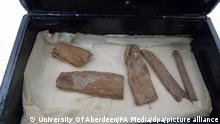 العثور على قطعة فرعونية عمرها خمسة آلاف عام في علبة سجائر