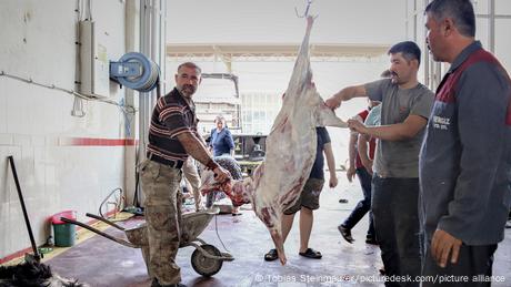 Halal slaughter in Turkey